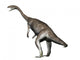 Anchisaurus Dinosaur Wall Decal
