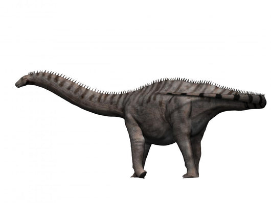 Apatosaurus Dinosaur Wall Decal