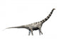 Argentinosaurus Dinosaur Wall Decal
