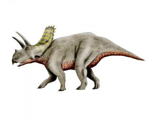 Arrhinoceratops Dinosaur Wall Decal