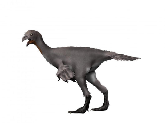 Avimimus Dinosaur Wall Decal