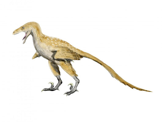 Bambiraptor Dinosaur Wall Decal