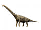 Brachiosaurus Dinosaur Wall Decal