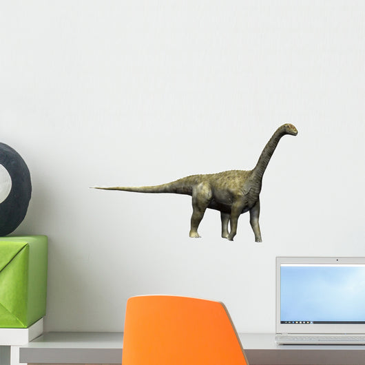 Camarasaurus Dinosaur Wall Decal