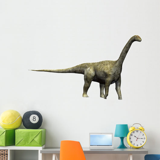 Camarasaurus Dinosaur Wall Decal
