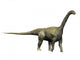 Camarasaurus Dinosaur Wall Decal