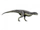 Carnotaurus Dinosaur Wall Decal