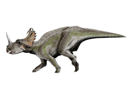 Centrosaurus Dinosaur Wall Decal