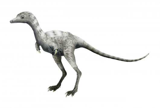 Ceratonykus Dinosaur Wall Decal