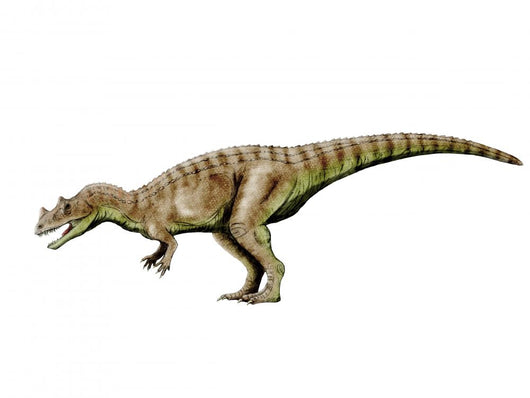Ceratosaurus Dinosaur Wall Decal