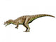 Ceratosaurus Dinosaur Wall Decal