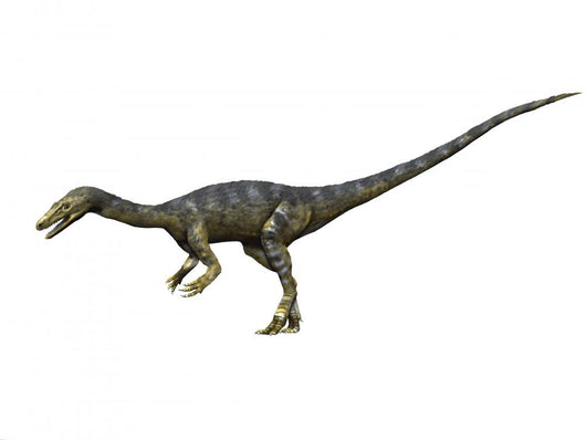 Coelophysis Dinosaur Wall Decal