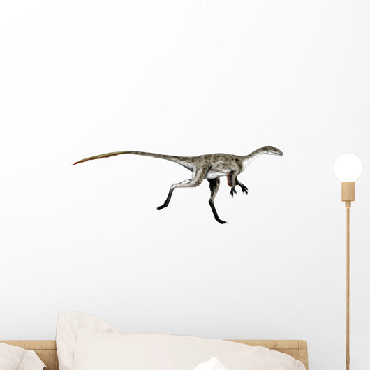 Coelurus Dinosaur Wall Decal