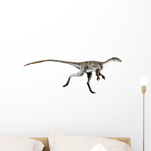 Coelurus Dinosaur Wall Decal