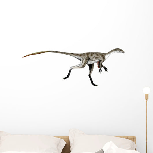 Coelurus Dinosaur Wall Decal