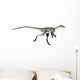 Coelurus Dinosaur Wall Decal