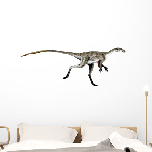 Coelurus Dinosaur Wall Decal