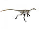 Coelurus Dinosaur Wall Decal