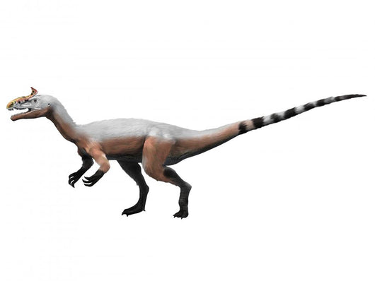 Cryolophosaurus Dinosaur Wall Decal
