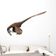 Deinonychus Dinosaur Wall Decal