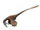 Deinonychus Dinosaur Wall Decal