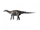 Dicraeosaurus Dinosaur Wall Decal