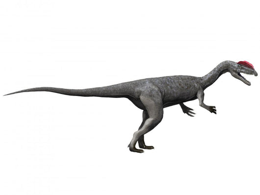 Dilophosaurus Dinosaur Wall Decal