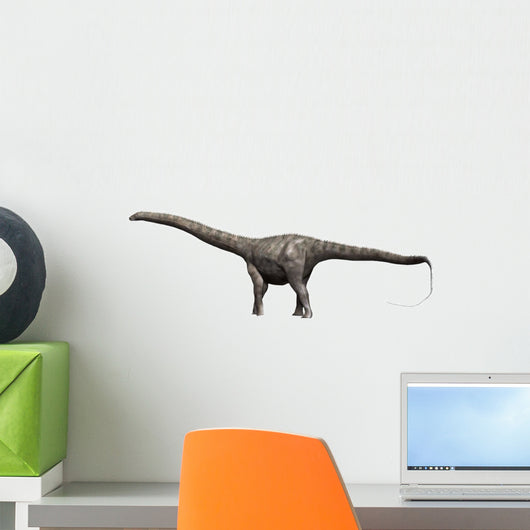 Diplodocus Dinosaur Wall Decal