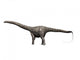 Diplodocus Dinosaur Wall Decal