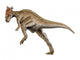 Dracorex Dinosaur Wall Decal