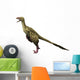 Dromaeosaurus Dinosaur Wall Decal