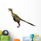 Dromaeosaurus Dinosaur Wall Decal