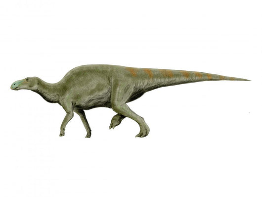 Edmontosaurus Dinosaur Green Wall Decal