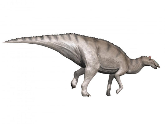 Edmontosaurus Dinosaur Wall Decal