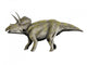Eotriceratops Dinosaur Wall Decal