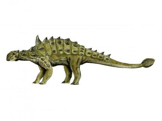 Euoplocephalus Dinosaur Wall Decal