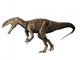 Eustreptospondylus Dinosaur Wall Decal