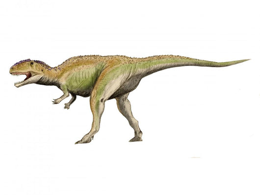Giganotosaurus Dinosaur Wall Decal