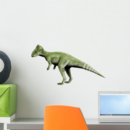 Graciliceratops Dinosaur Wall Decal