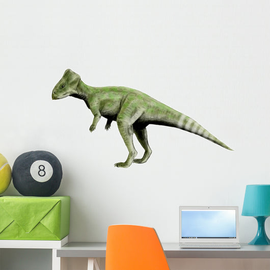 Graciliceratops Dinosaur Wall Decal