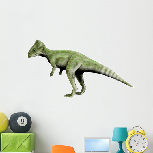 Graciliceratops Dinosaur Wall Decal