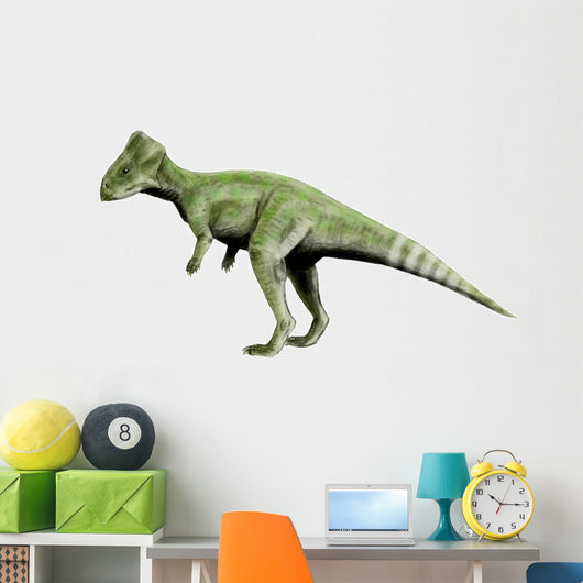 Graciliceratops Dinosaur Wall Decal