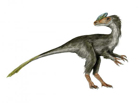 Guanlong Dinosaur Wall Decal
