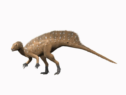 Heterodontosaurus Dinosaur Wall Decal