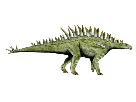 Huayangosaurus Dinosaur Wall Decal