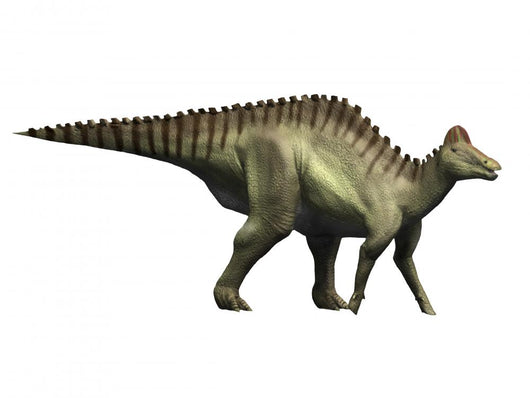 Hypacrosaurus Dinosaur Wall Decal