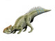 Leptoceratops Dinosaur Wall Decal