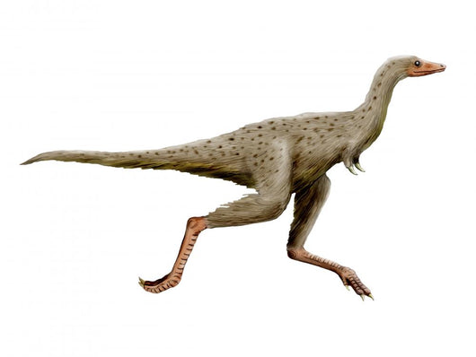 Linhenykus Dinosaur Wall Decal