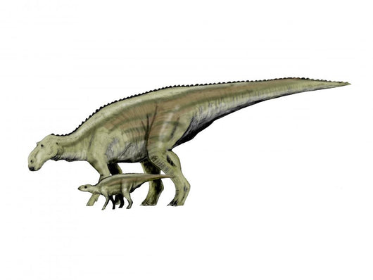 Maiasaura Dinosaur and Offspring Wall Decal