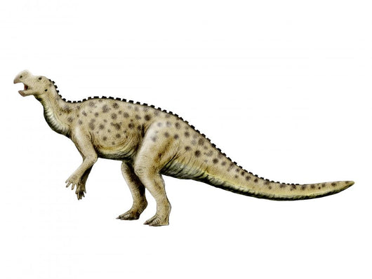 Muttaburrasaurus Dinosaur Wall Decal